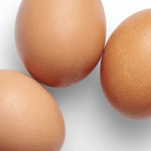 Gewebskulturen zur Untersuchung des Tumormikromilieus