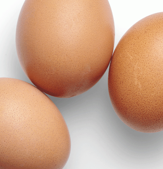 Gewebskulturen zur Untersuchung des Tumormikromilieus Gewebskulturen zur Untersuchung des Tumormikromilieus